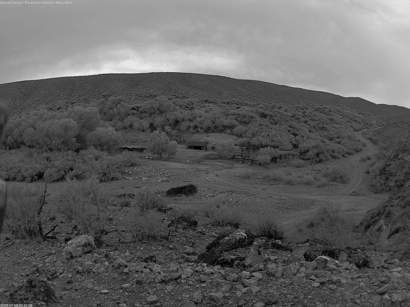 time-lapse frame, Tassi Ranch webcam