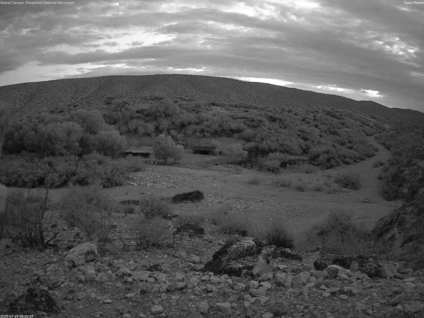 time-lapse frame, Tassi Ranch webcam