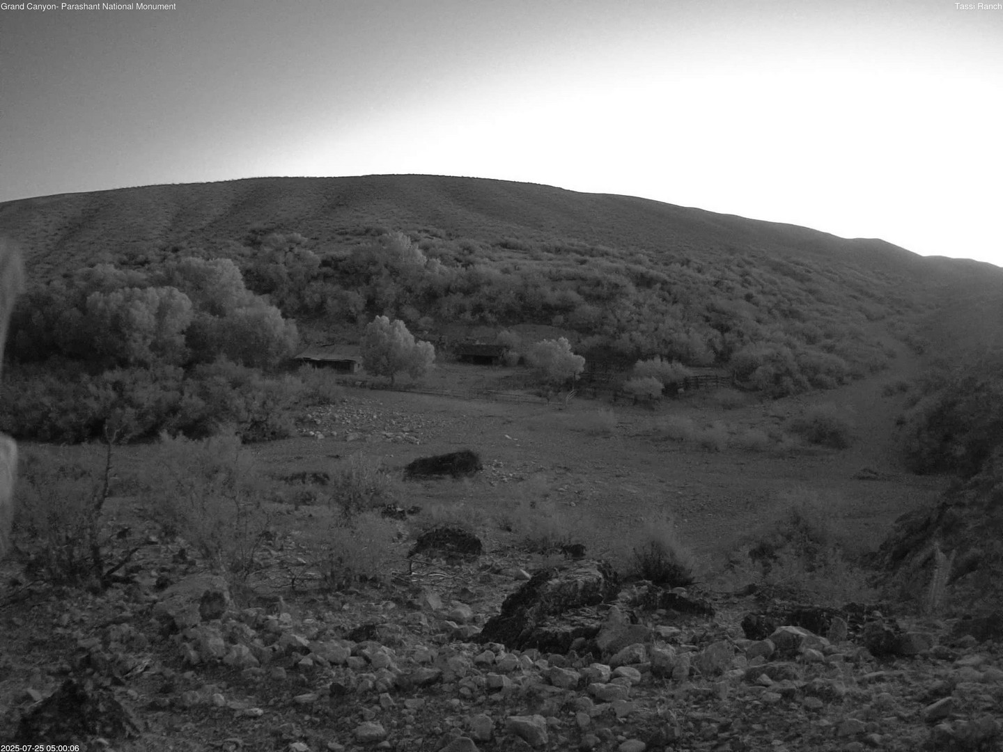 time-lapse frame, Tassi Ranch webcam
