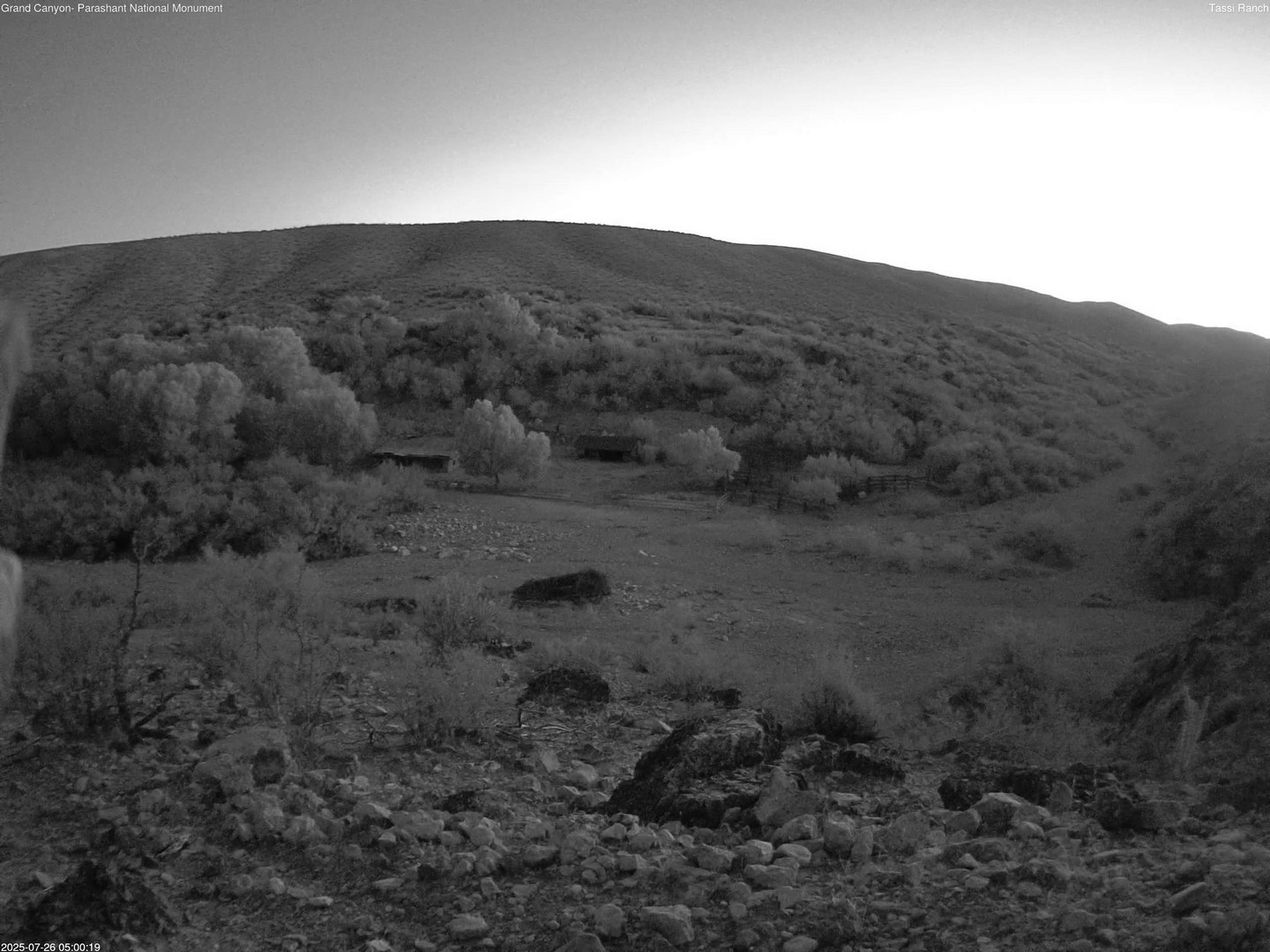 time-lapse frame, Tassi Ranch webcam