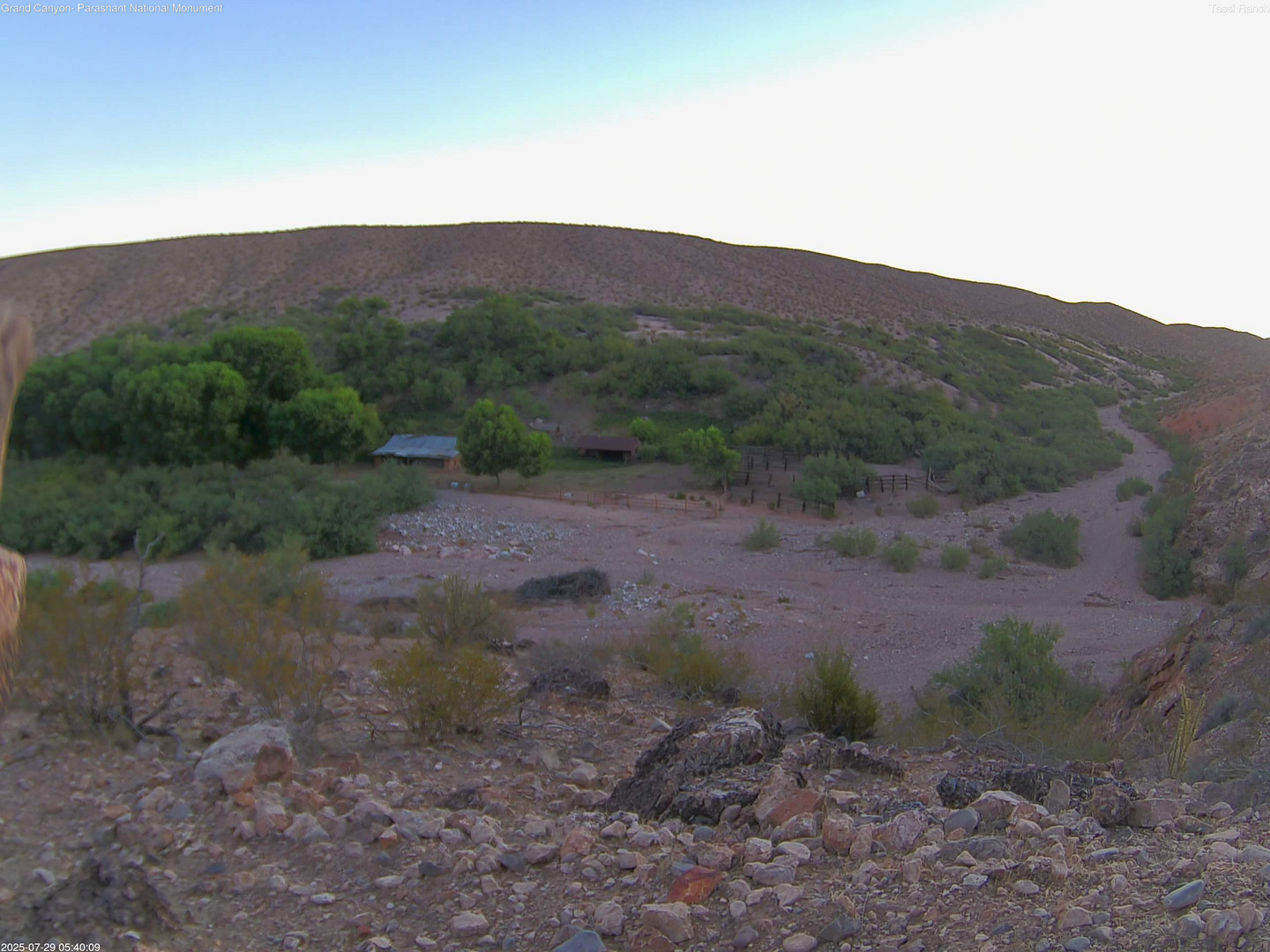 time-lapse frame, Tassi Ranch webcam