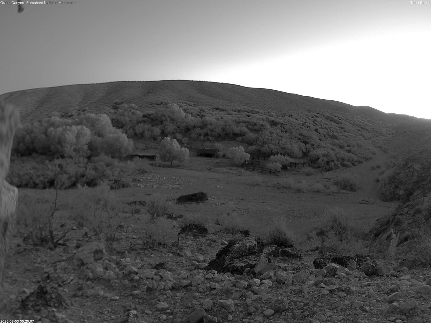 time-lapse frame, Tassi Ranch webcam