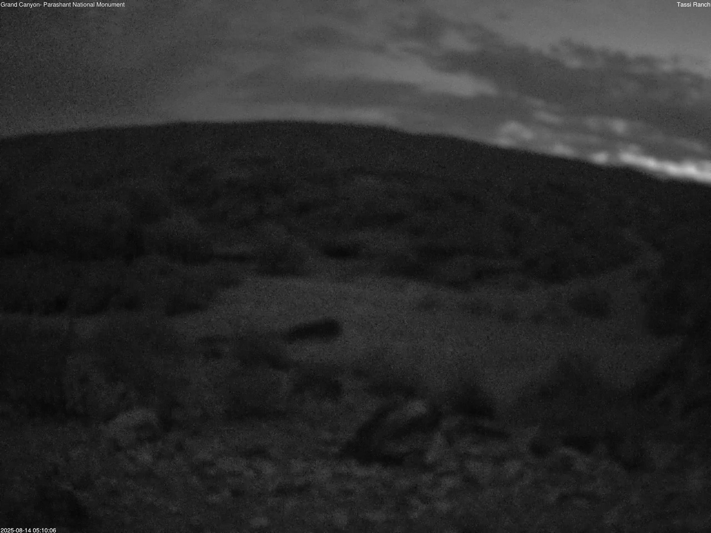 time-lapse frame, Tassi Ranch webcam