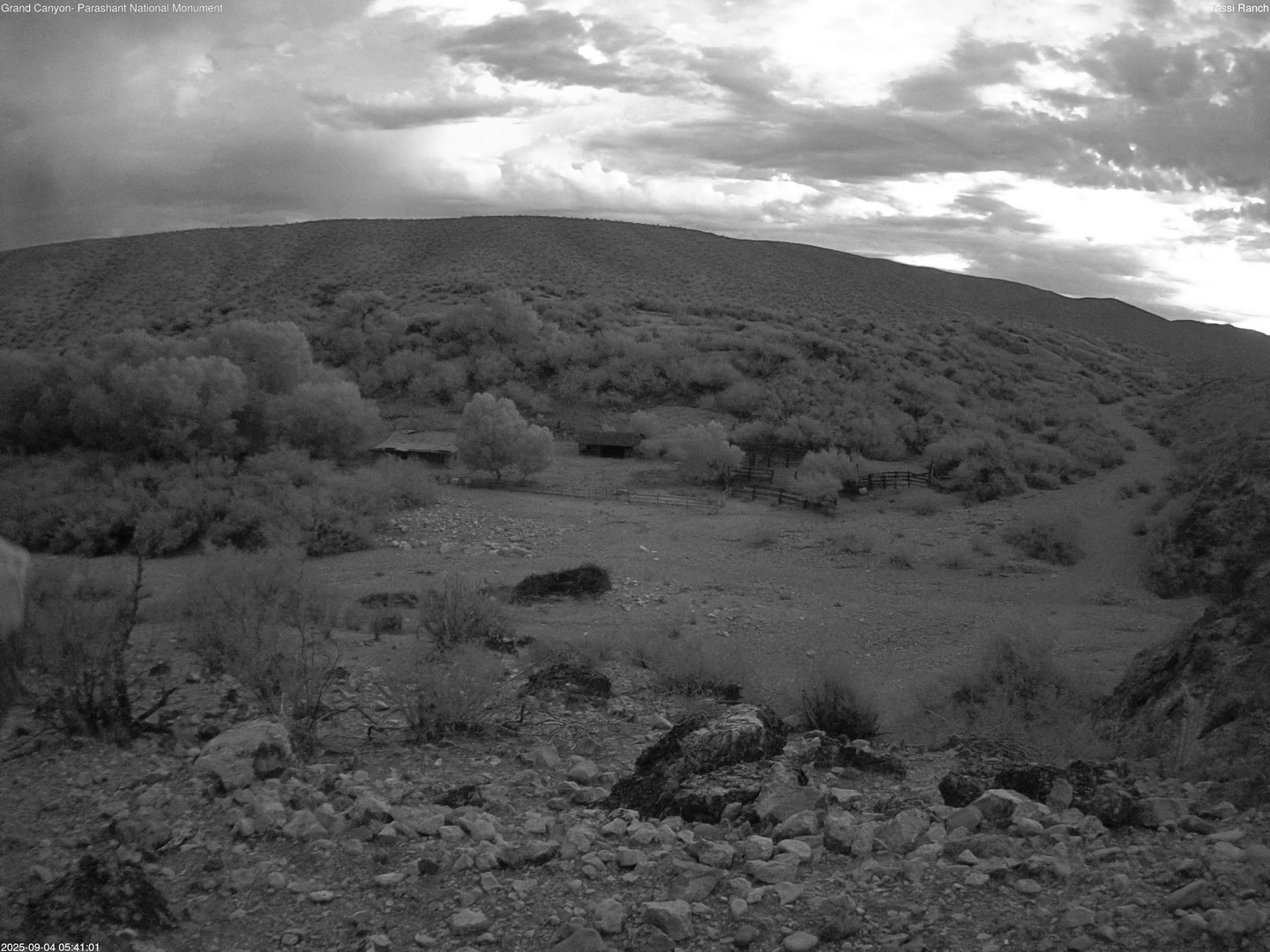 time-lapse frame, Tassi Ranch webcam