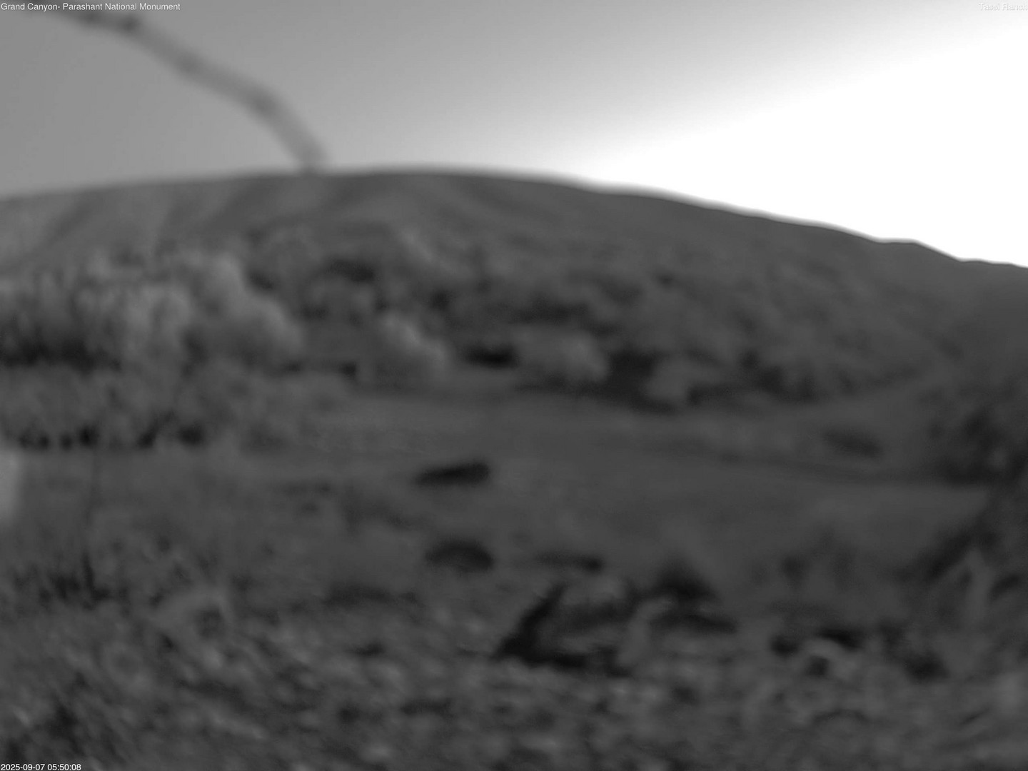 time-lapse frame, Tassi Ranch webcam
