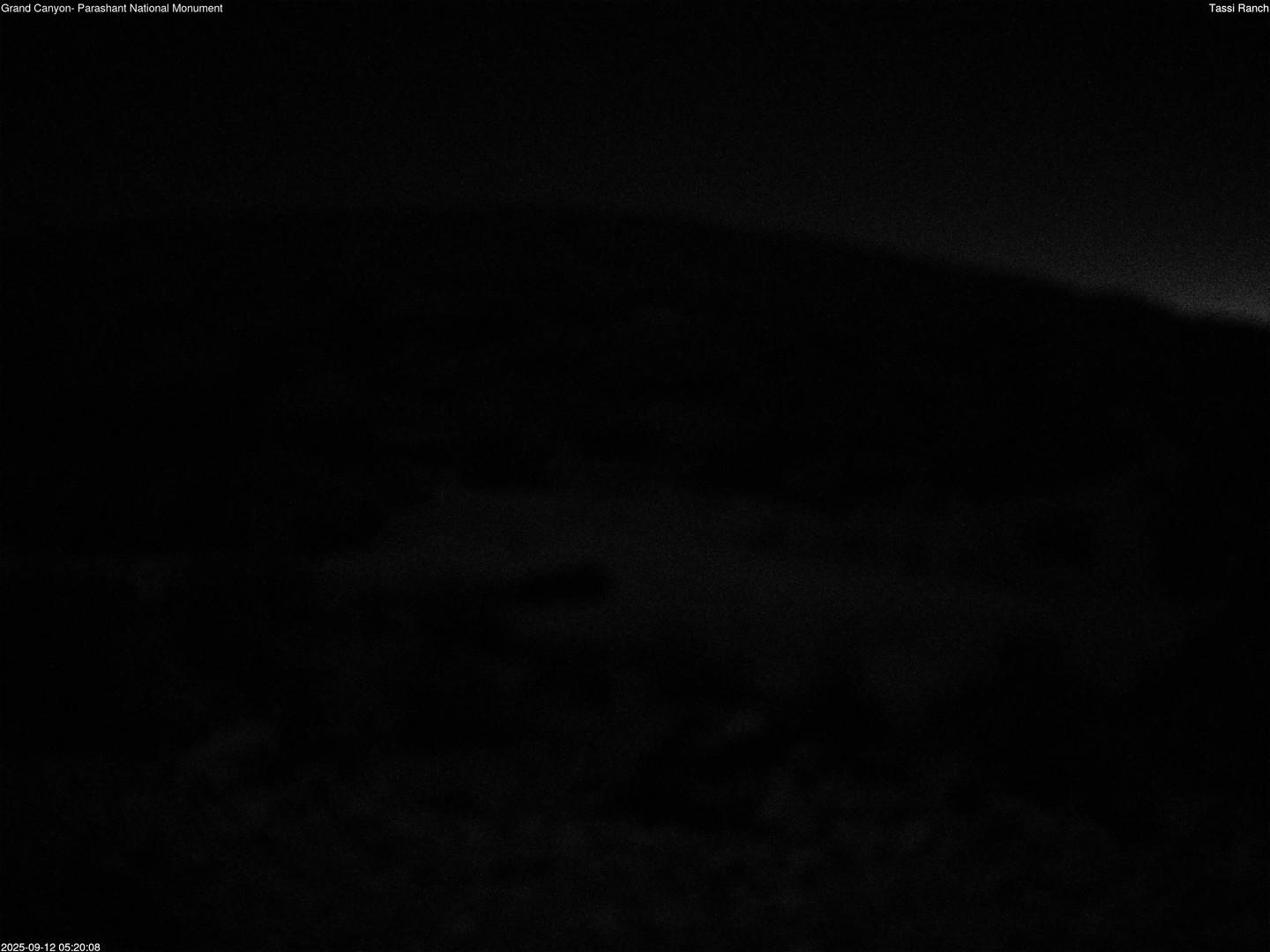time-lapse frame, Tassi Ranch webcam