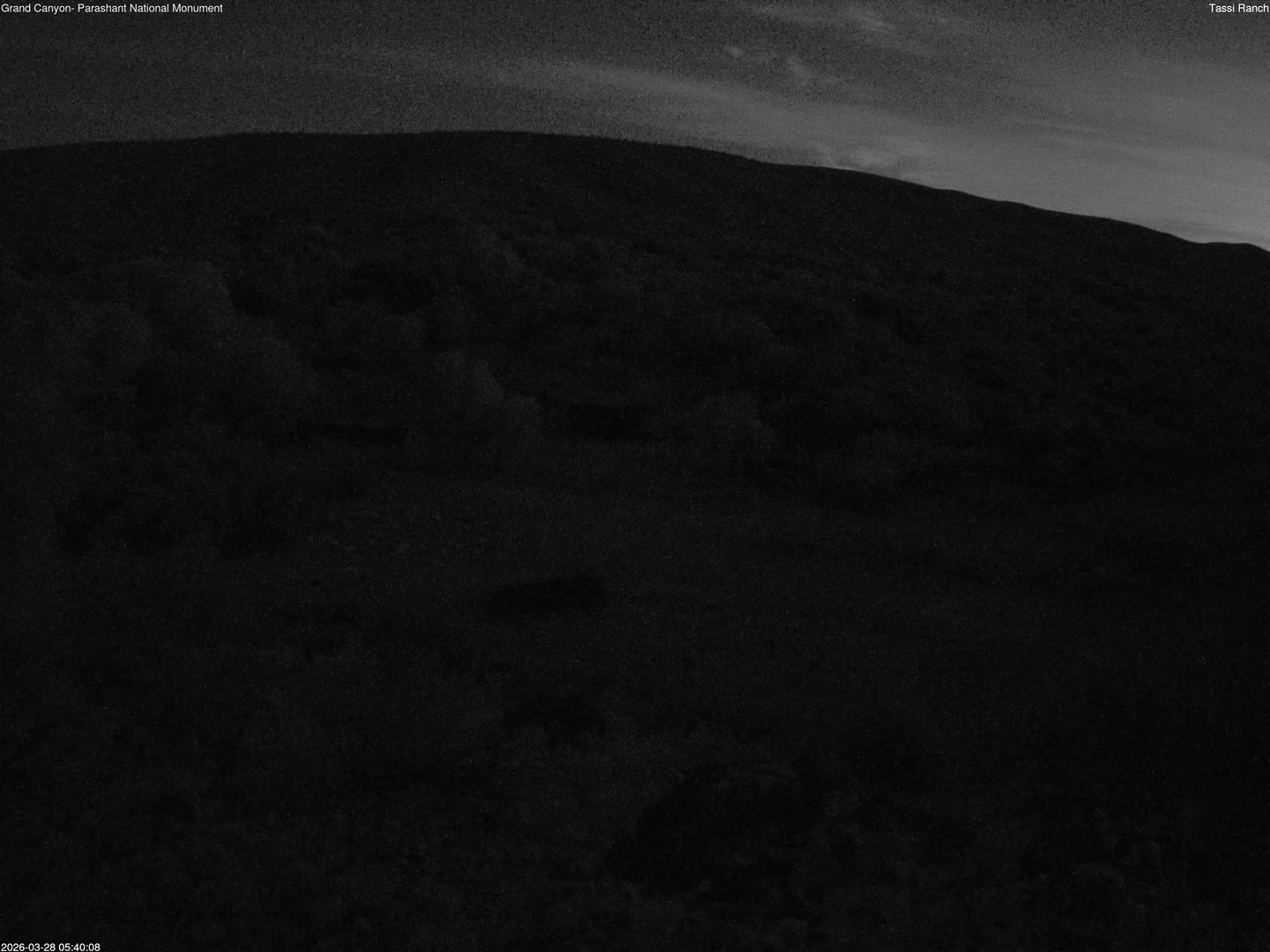 time-lapse frame, Tassi Ranch webcam