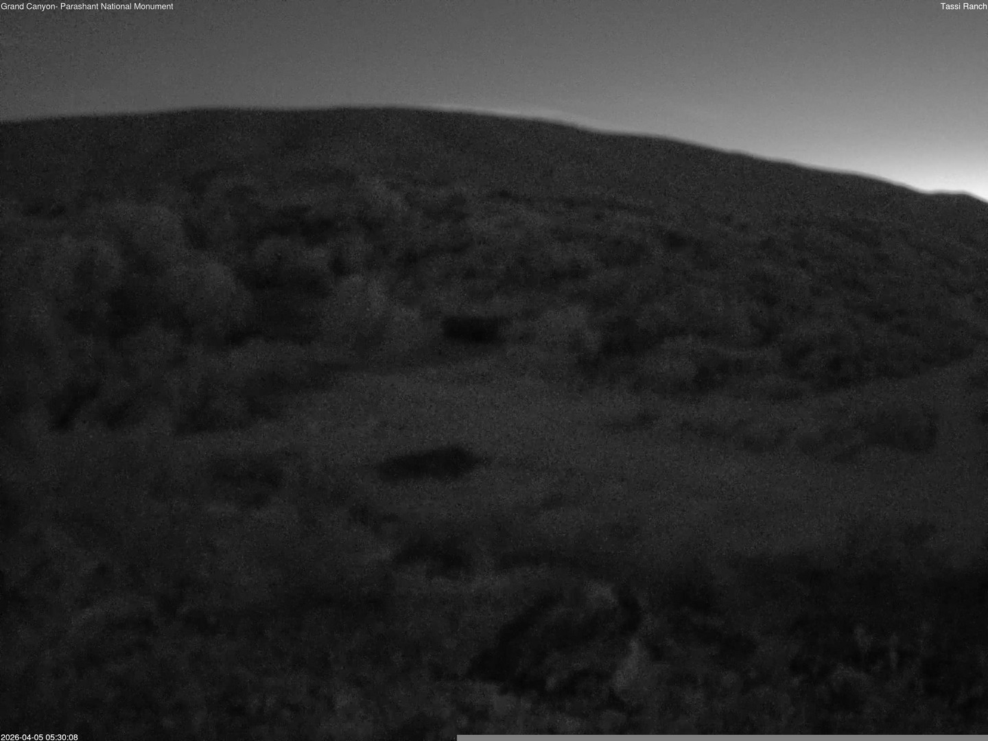 time-lapse frame, Tassi Ranch webcam