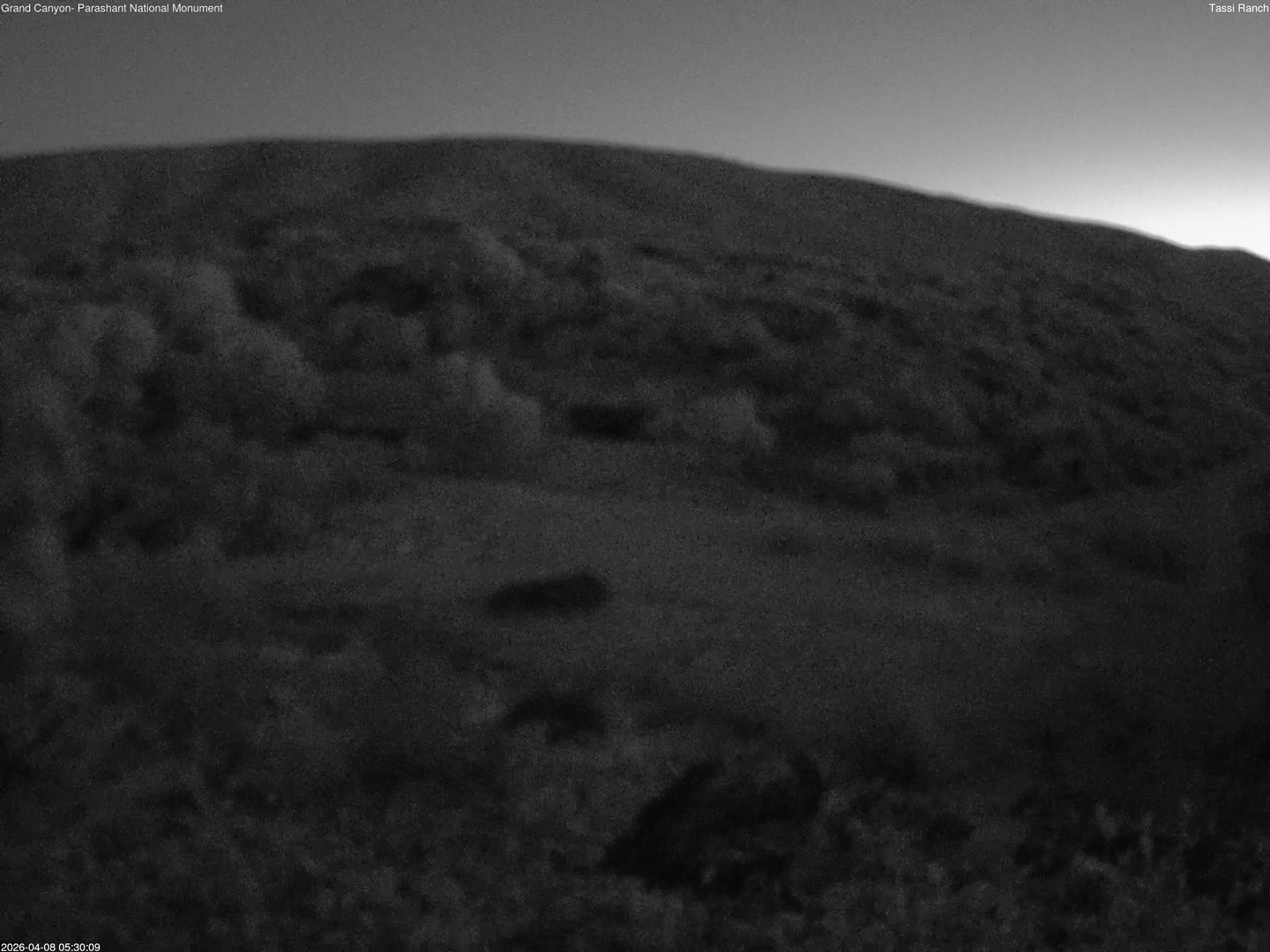 time-lapse frame, Tassi Ranch webcam