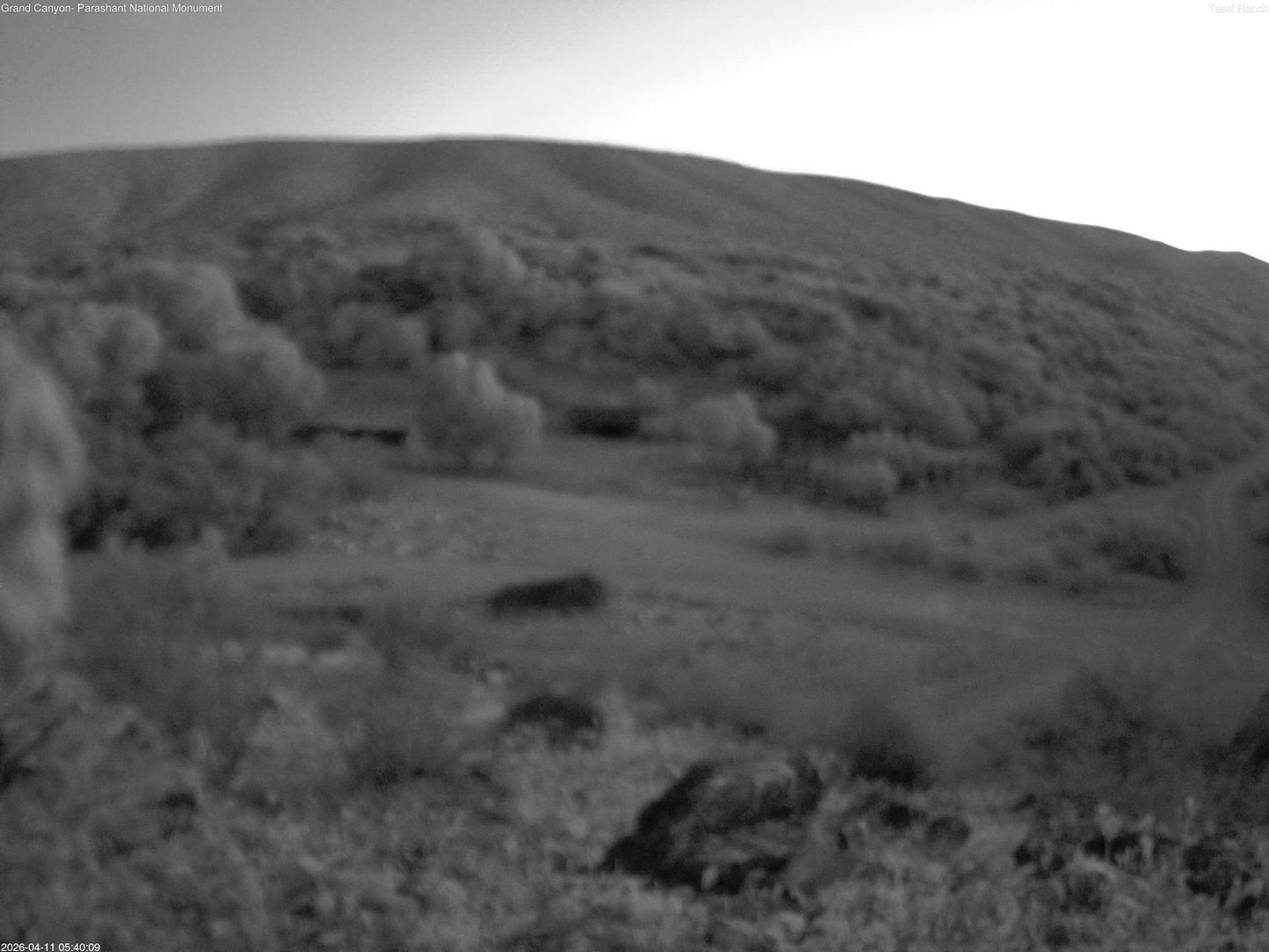 time-lapse frame, Tassi Ranch webcam