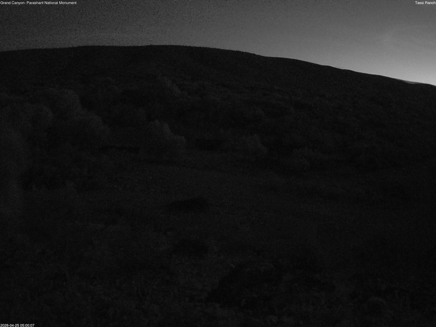 time-lapse frame, Tassi Ranch webcam