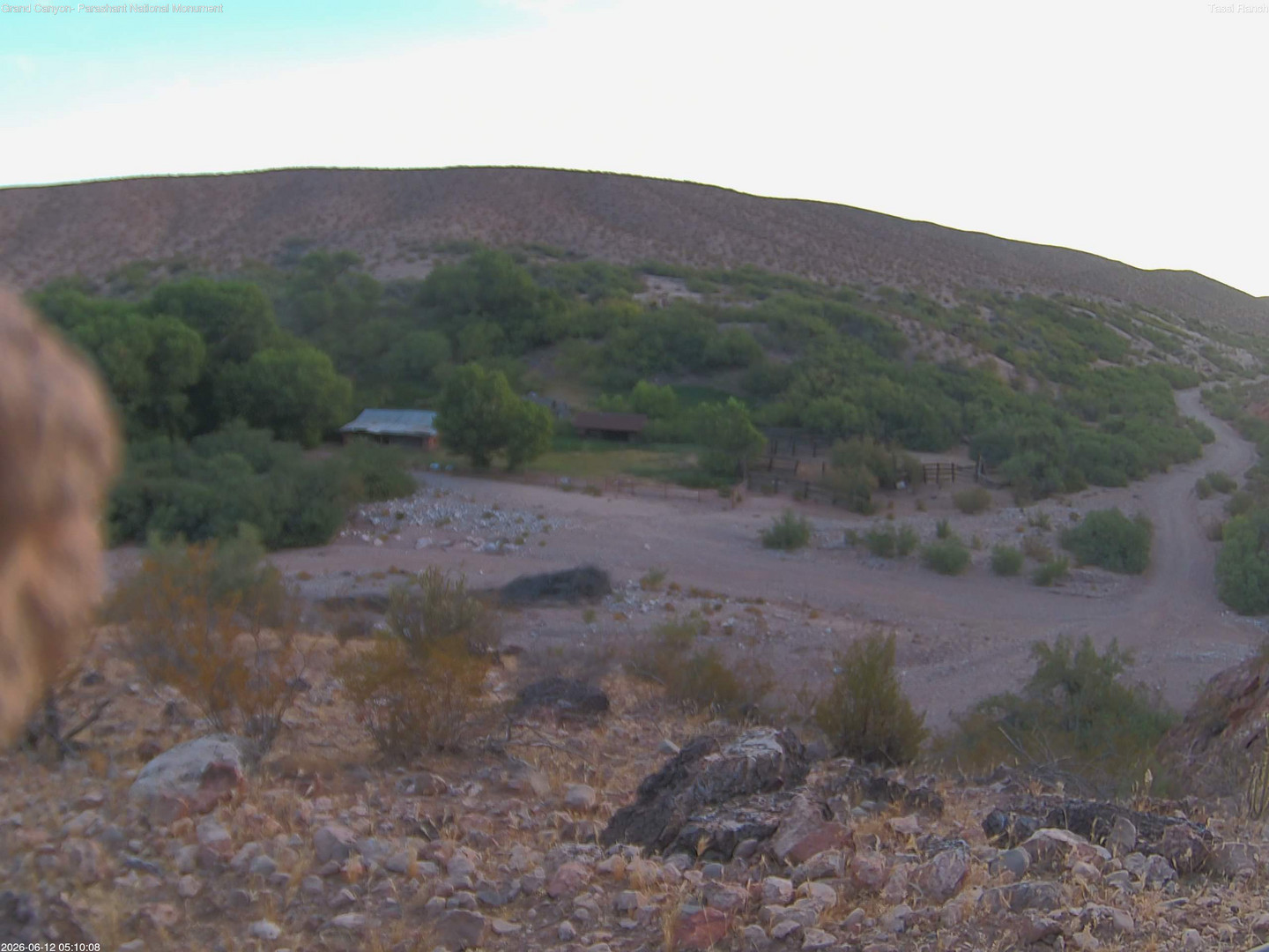 time-lapse frame, Tassi Ranch webcam