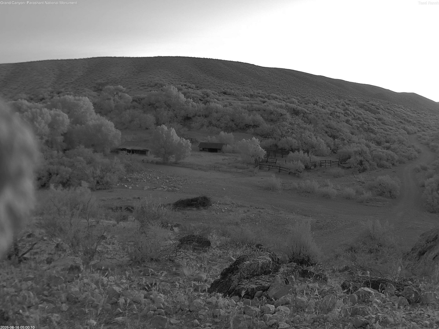 time-lapse frame, Tassi Ranch webcam
