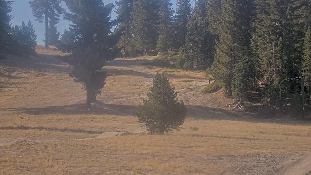 view from Snow Valley Base Cam on 2026-08-24