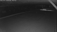 view from Inlet Fern Park Rink on 2025-07-01