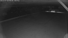 view from Inlet Fern Park Rink on 2026-06-25