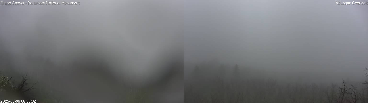 time-lapse frame, Mt Logan webcam