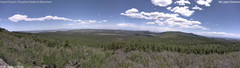 view from Mt Logan on 2025-05-25