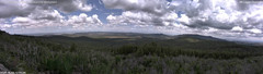 view from Mt Logan on 2025-06-03