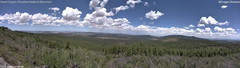 view from Mt Logan on 2025-08-01
