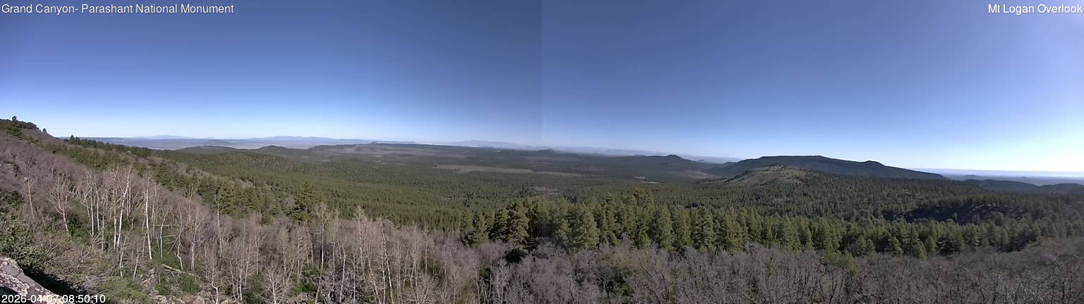 time-lapse frame, Mt Logan webcam