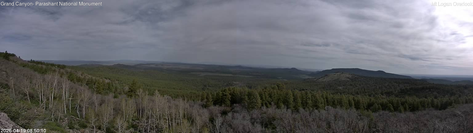 time-lapse frame, Mt Logan webcam