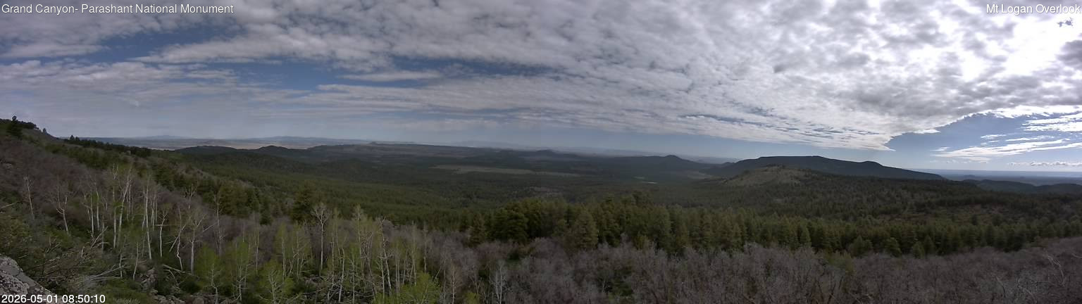 time-lapse frame, Mt Logan webcam