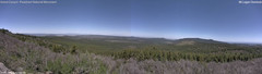 view from Mt Logan on 2026-05-11