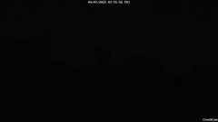 view from CreekCam East on 2025-07-04