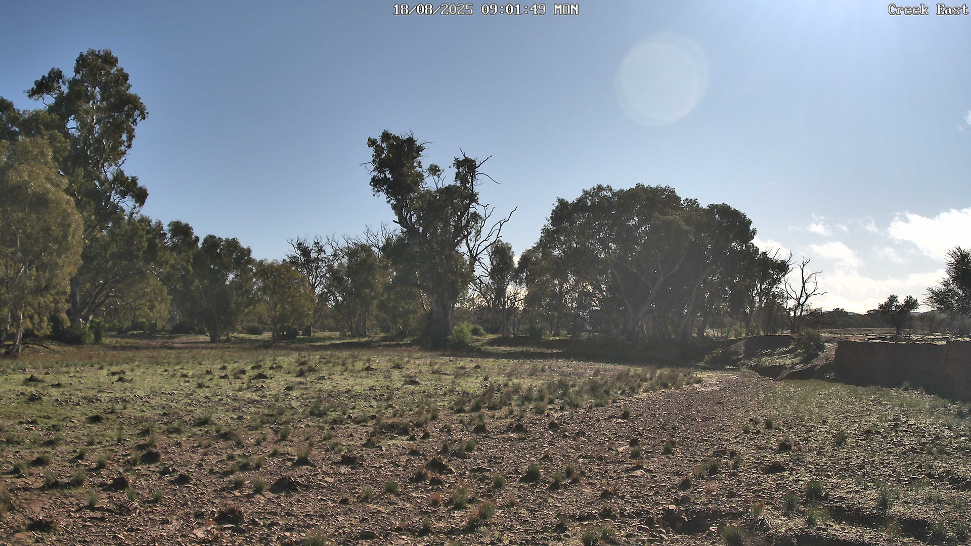time-lapse frame, CreekCam East webcam