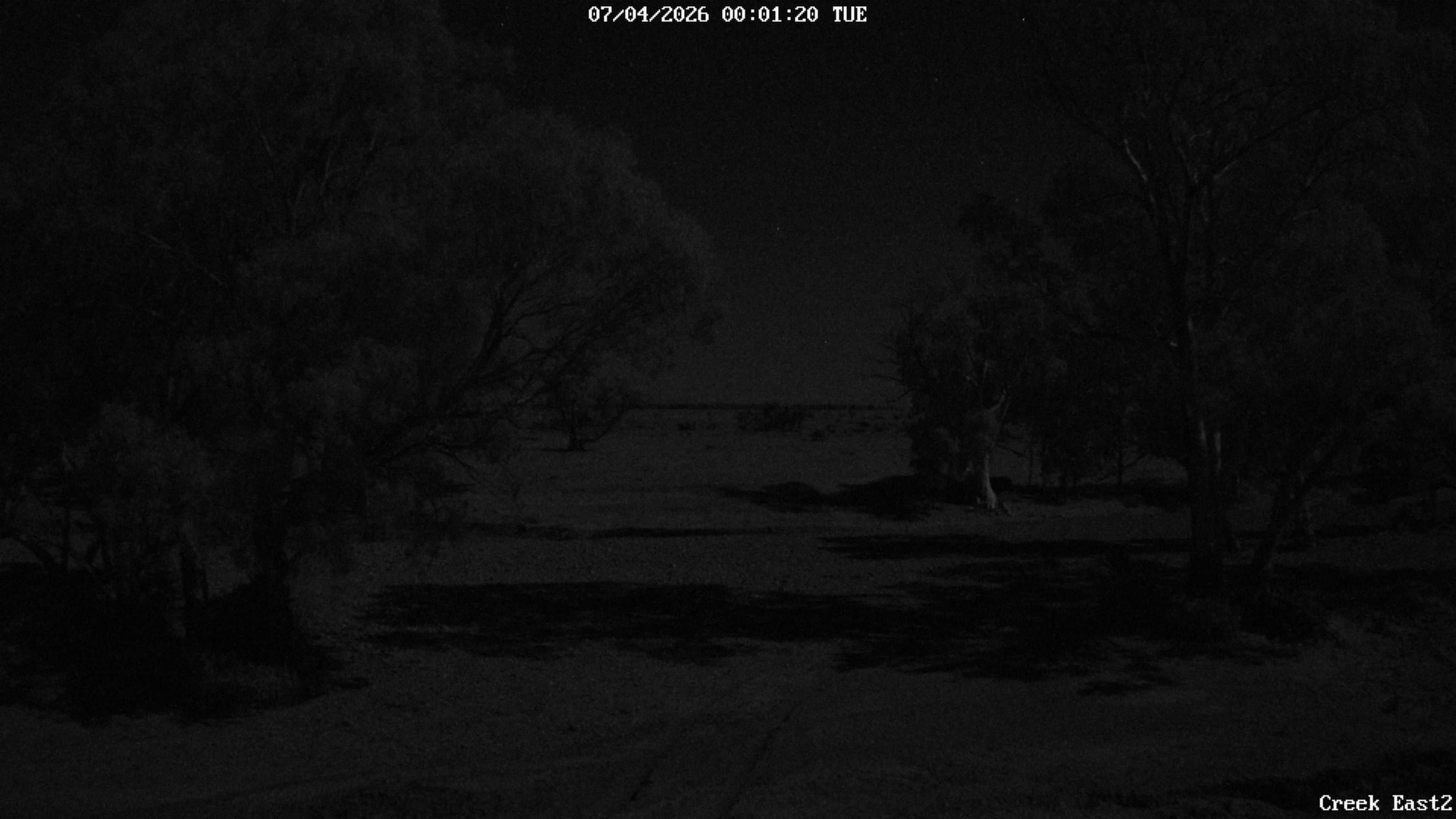 time-lapse frame, CreekCam East webcam