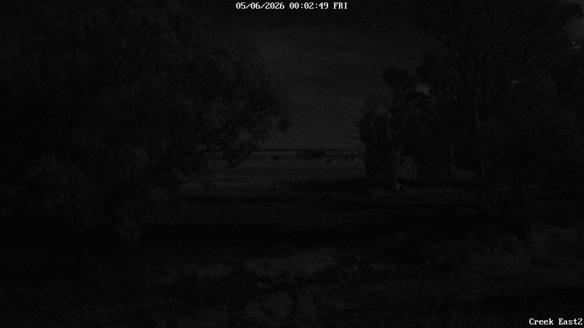 time-lapse frame, CreekCam East webcam