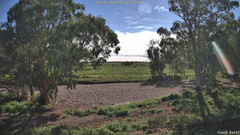 view from CreekCam East on 2026-06-06
