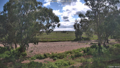 view from CreekCam East on 2026-08-14