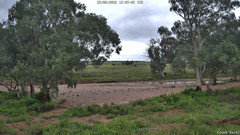 view from CreekCam East on 2026-08-25
