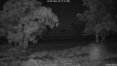 view from CreekCam East on 2026-08-26