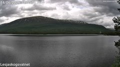 view from Lesjaskogsvatnet on 2026-06-14