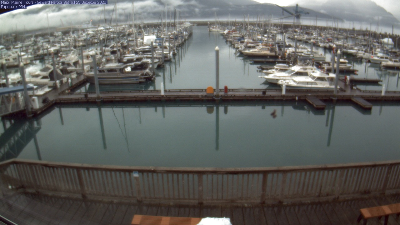 time-lapse frame, Seward Harbor webcam
