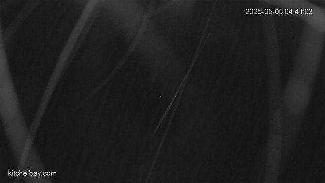 time-lapse frame, kitchelbay.com webcam
