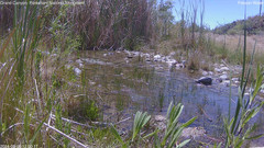 view from Pakoon Springs Stream Side on 2024-05-06