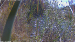 view from Pakoon Springs Stream Side on 2024-11-19