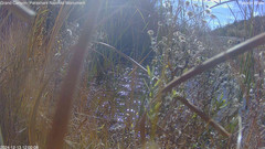 view from Pakoon Springs Stream Side on 2024-12-13