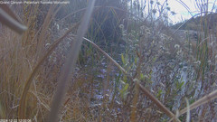 view from Pakoon Springs Stream Side on 2024-12-22