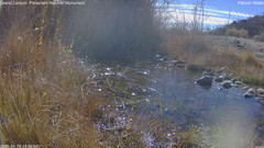 view from Pakoon Springs Stream Side on 2025-01-19