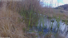 view from Pakoon Springs Stream Side on 2025-02-17