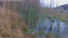 view from Pakoon Springs Stream Side on 2025-03-13