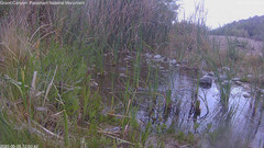 view from Pakoon Springs Stream Side on 2025-05-05