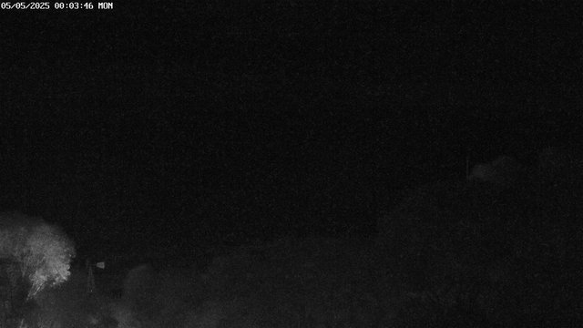 time-lapse frame, East webcam