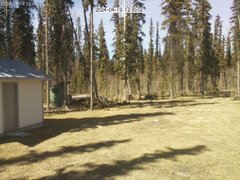 view from Cabin Cam on 2024-04-19