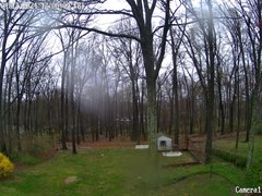 view from Sparta WX on 2024-04-12